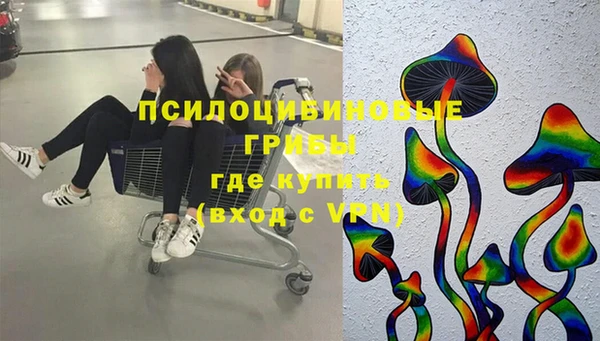 Альфа ПВП Щёлкино