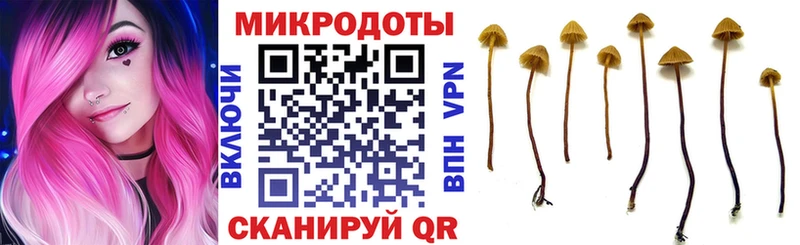 где можно купить   Юрюзань  Галлюциногенные грибы Magic Shrooms 