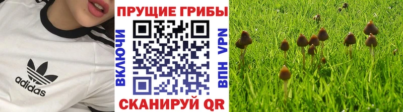 Псилоцибиновые грибы мухоморы Юрюзань
